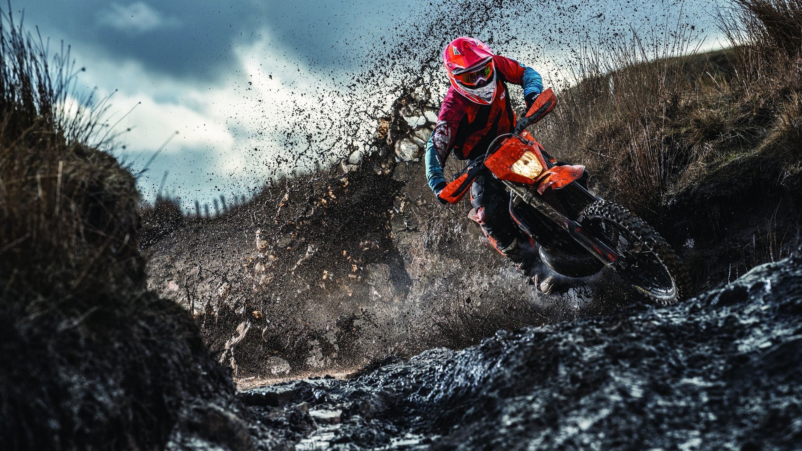 新星崭露头角，未来可期！，新星头像